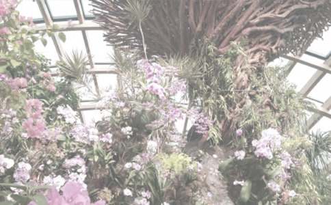 植物园优秀作文