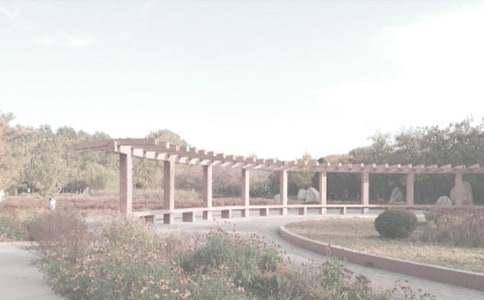 ��ֲ��԰����