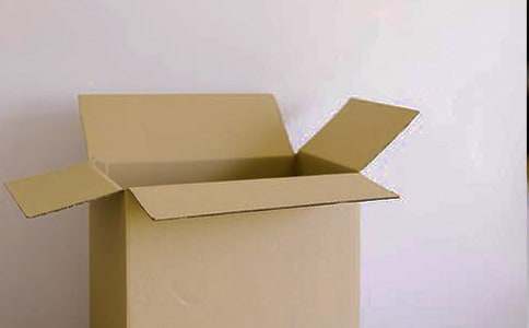 最新纸箱厂实践报告