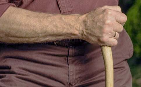 �����꼶�����ƻ�