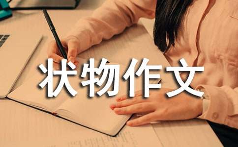 ���ر���״������300�ֽ���10ƪ