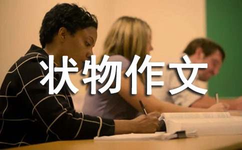 �����š����꼶״������300�ּ���ʮƪ