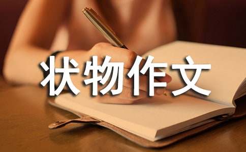 ��ѡ���꼶״������300�ֻ��ʮƪ