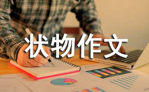 ��������״������300�ּ�����ƪ