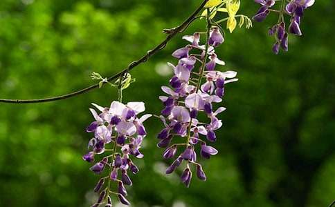 ��д���ٻ����ĵĽ�β