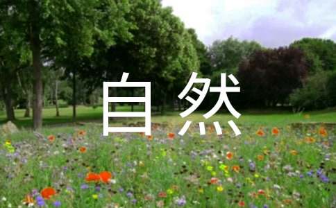 ����Ȼ������[�ر�4ƪ]