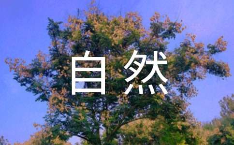 自然作文300字(经典)