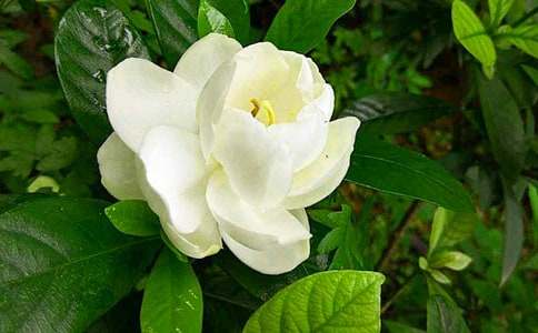 д���ӻ�������