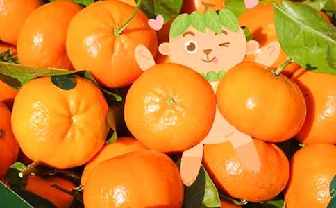 【必备】《橘子》阅读答案