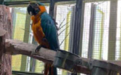 �ҵĶ���������������(����)