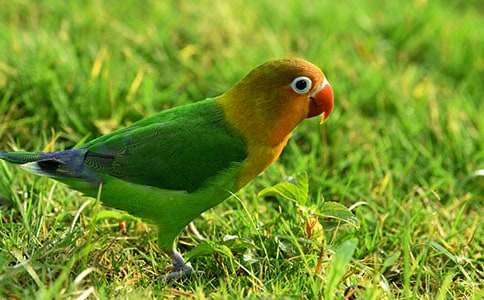 �ҵĶ���������������