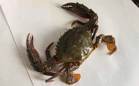 ׽�з���꼶����