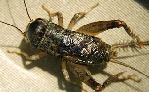 �й��������300����ƪ