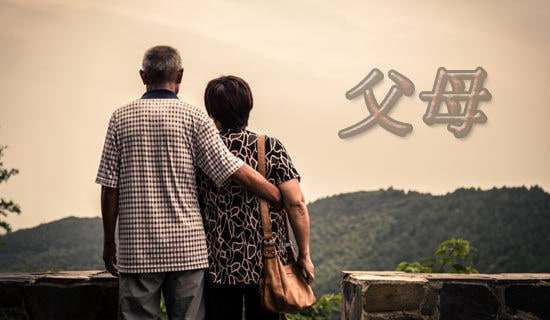 Т����ĸ��300������