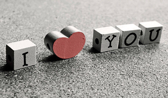 ����ĸ���顷�ۺ��