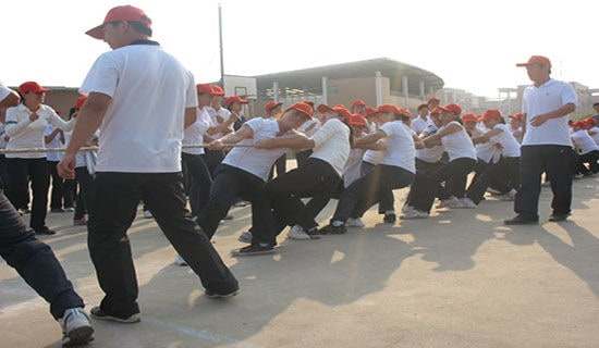 拔河,五年级写事作文600字