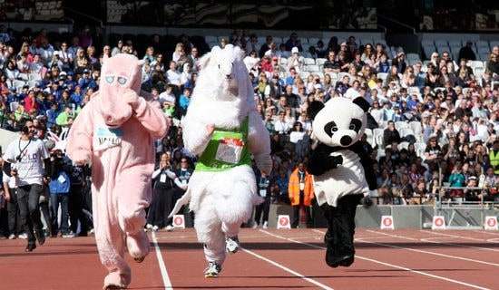 �˶���ۺ�С��Ƽ���