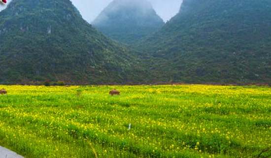 ��ѧ�����β߻��顾��Ʒ15ƪ��